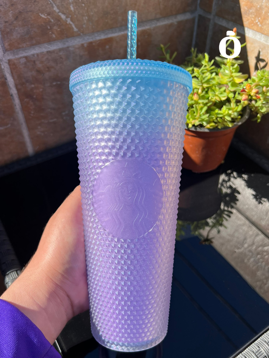 Starbucks studded newest cup