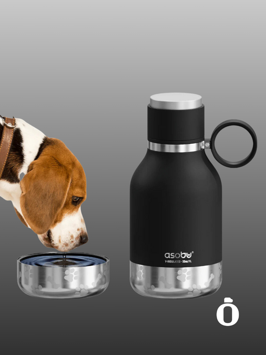 Asobu Dog Bowl Stainless Steel Insulated Travel Bottle | 33 OZ | Black