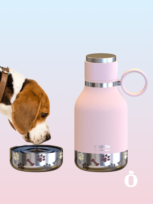 Asobu Dog Bowl Stainless Steel Insulated Travel Bottle | 33 OZ | Pink