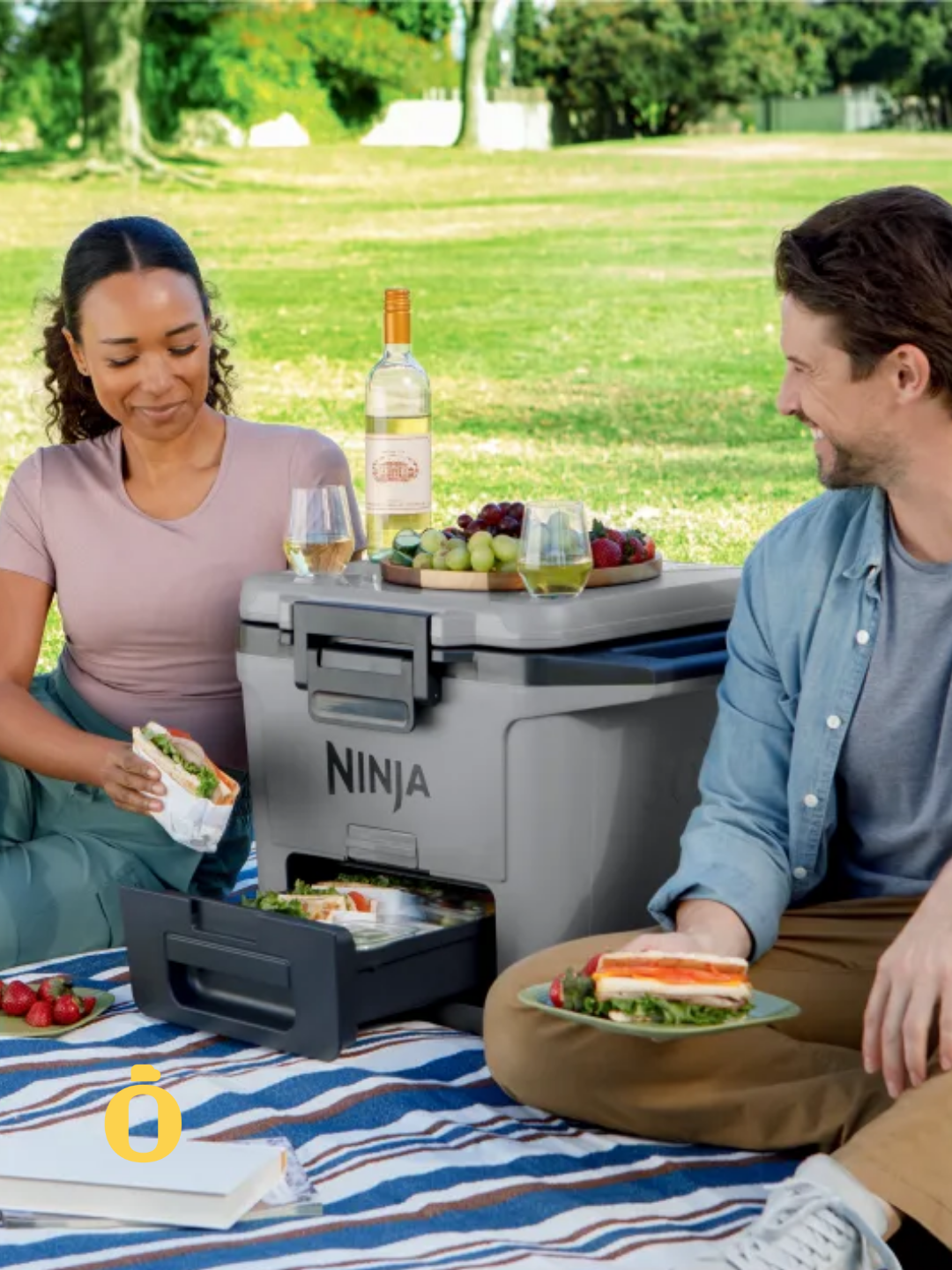 Ninja | FrostVault Hard Cooler with Ice Packs & Accessories | 30 qt | Slate Gray