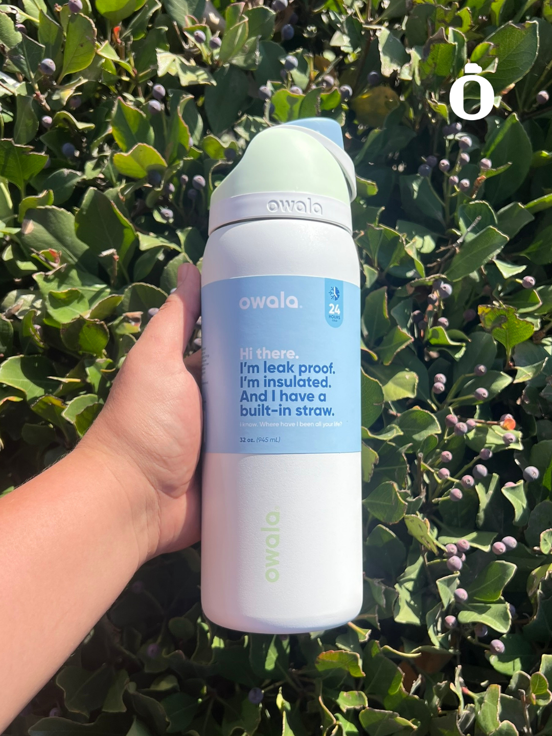 Owala Freesip | 32 Oz | Iced Breeze