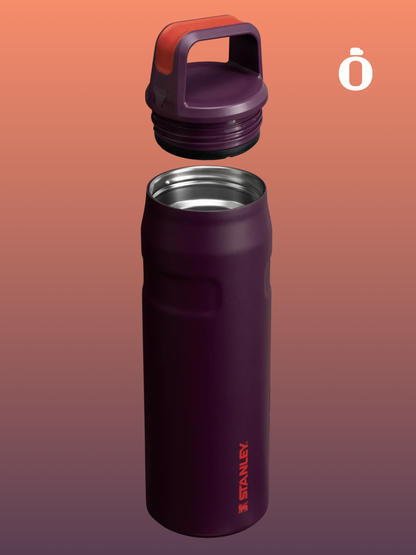 Stanley The Iceflow With Cap and Carry+ Lid | 24 Oz | Plum