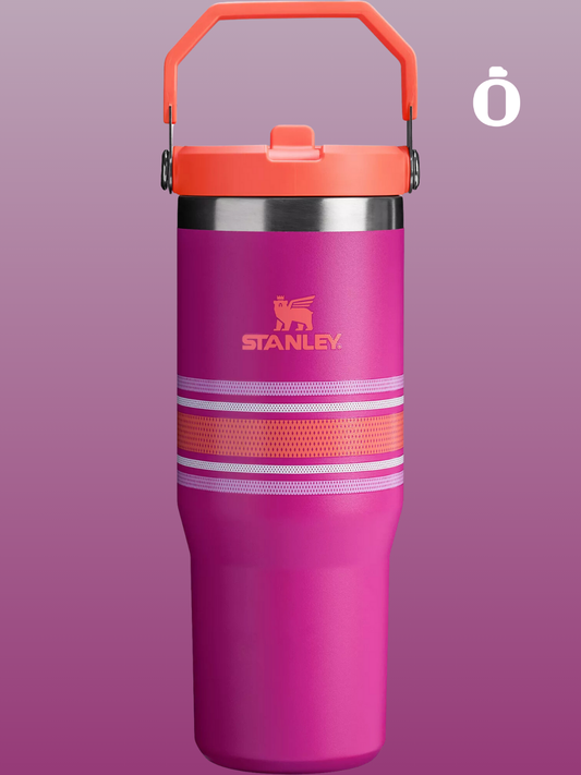 Stanley The Iceflow Flip Straw Tumbler Varsity Collection | 30 Oz | Fuchsia Mesh