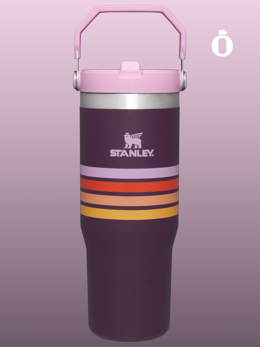 Stanley The Iceflow Flip Straw Tumbler | 30 Oz | Plum Stripe