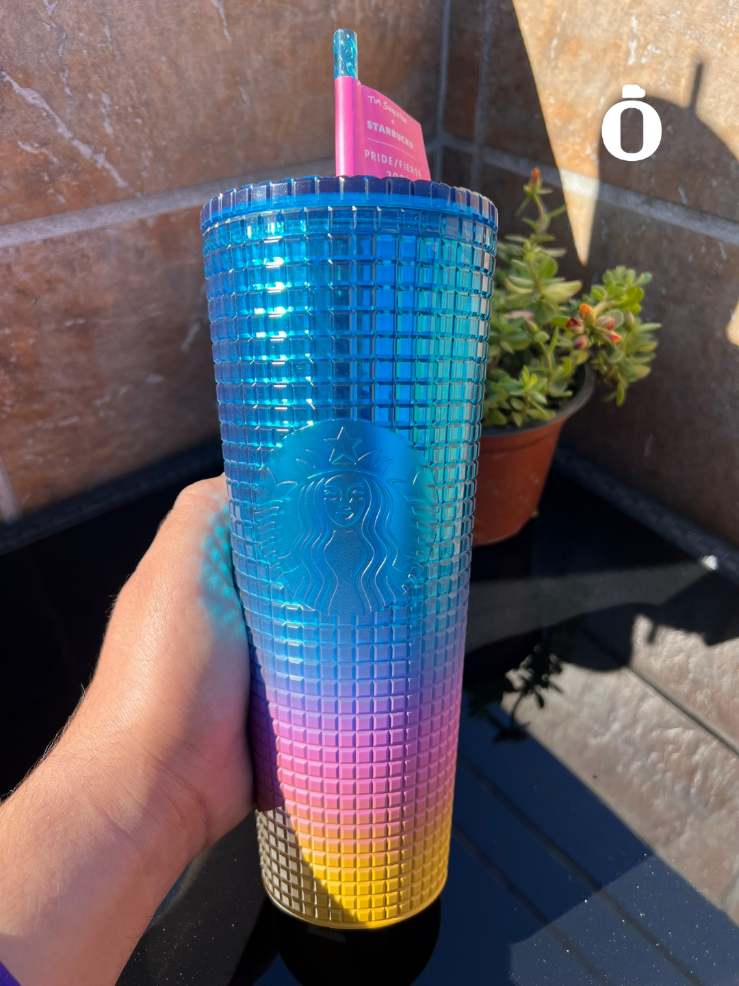 Starbucks Tumbler Tim Singleton Rainbow Grid Gradient Ombre - Venti 24OZ - Summer 2023