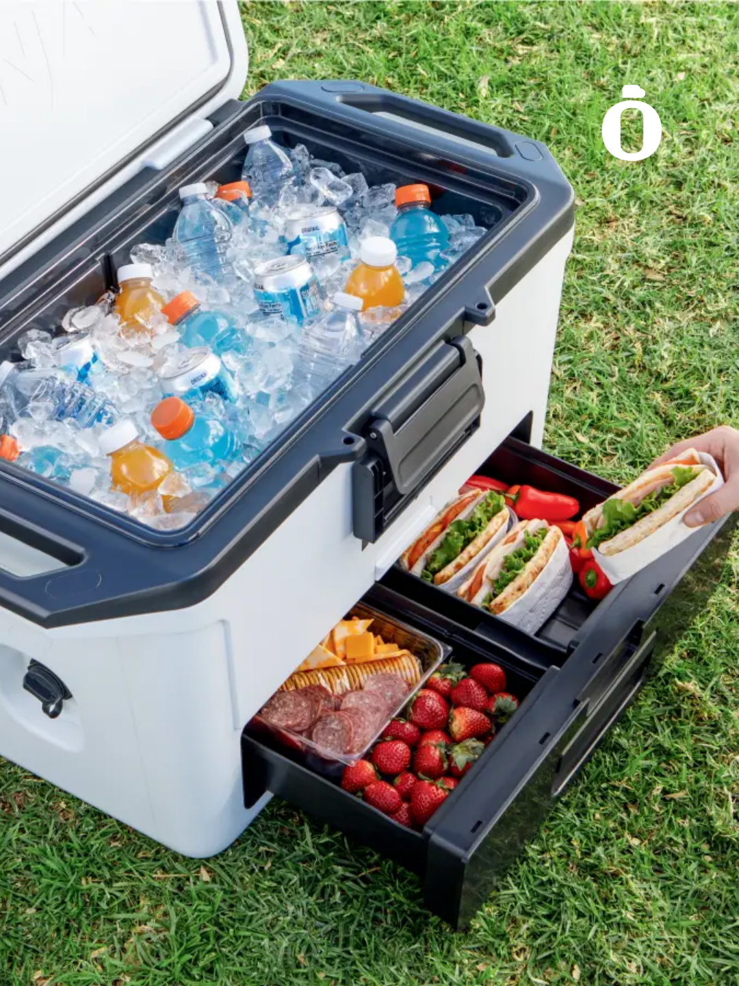 Ninja | FrostVault Hard Cooler with Dry Zone | 50 qt | Cloud White