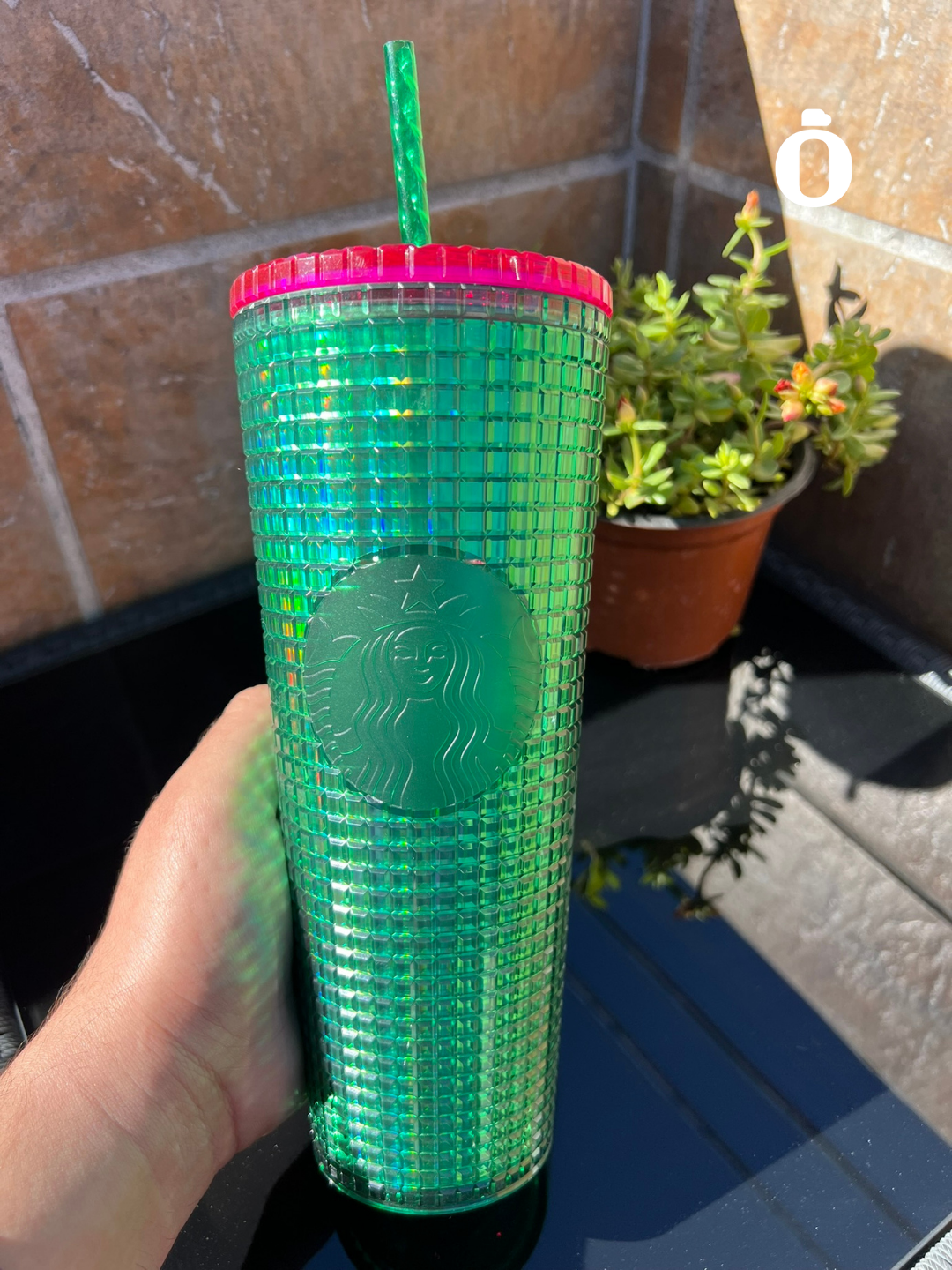 Starbucks Green And Pink Grid Cold Cup 24 Oz