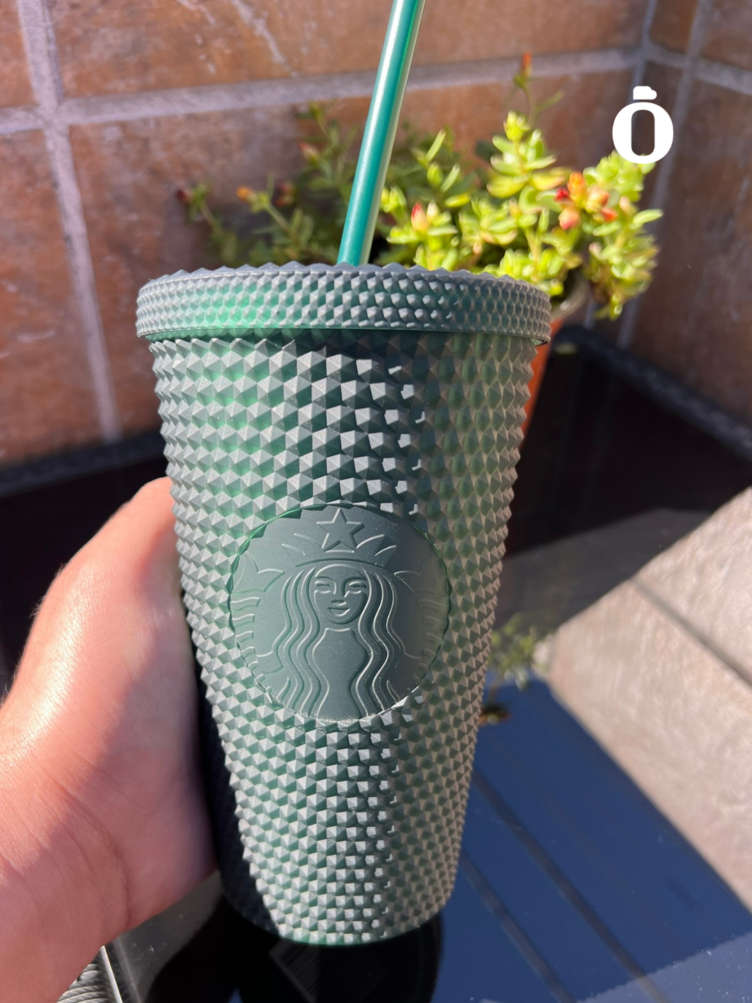 Starbucks Dark Green Jelly Studded Tumbler - 16 Oz