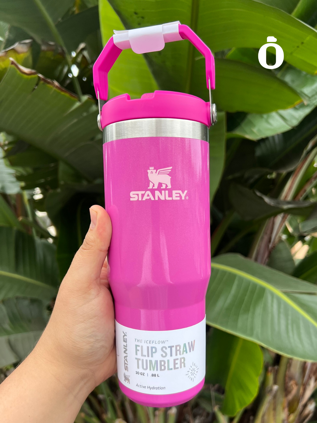 Stanley Winter Wonderland Collection Flip Straw Tumbler | 30 Oz | Punch Shimmer