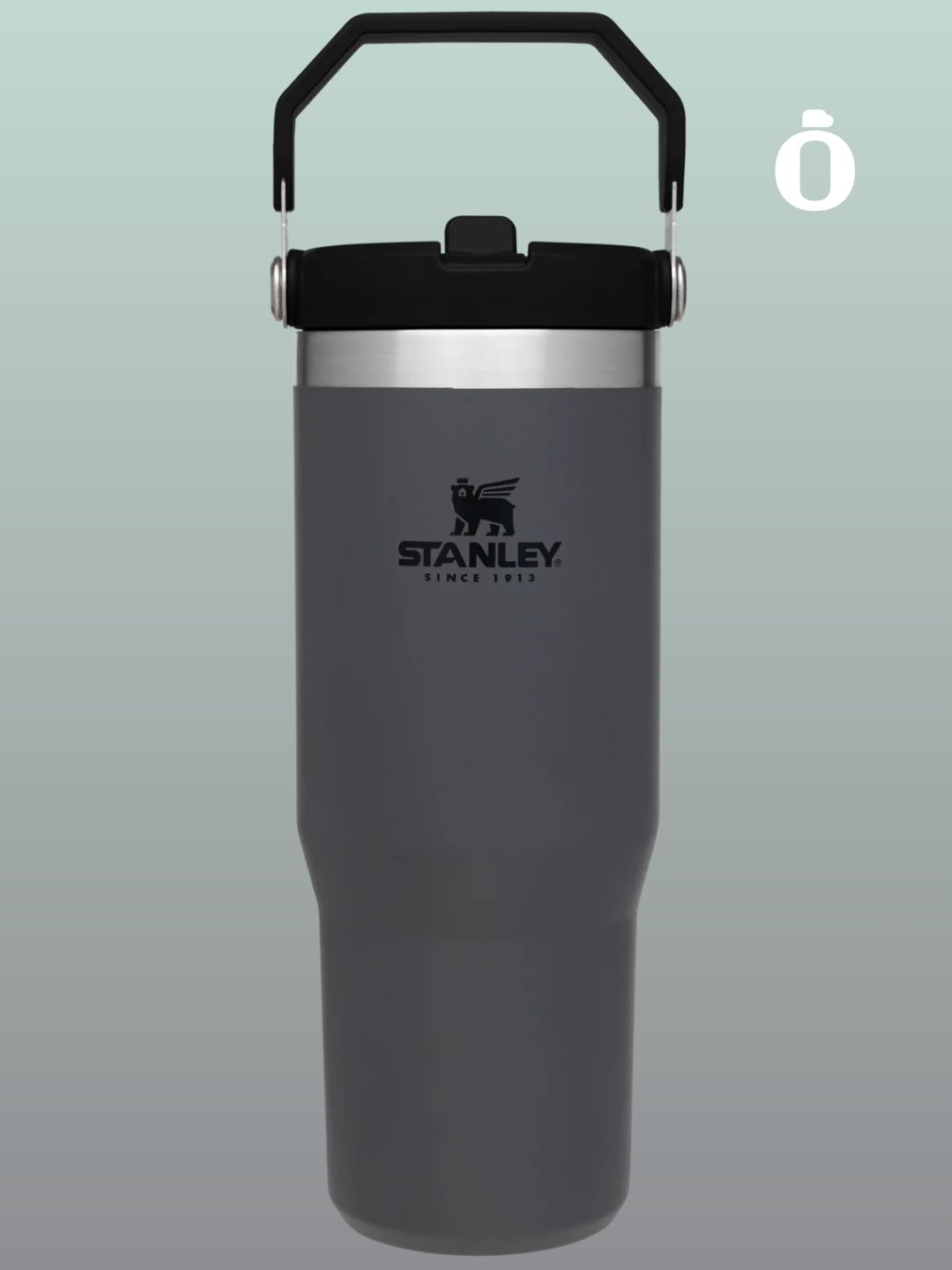 Stanley The Iceflow Flip Straw Tumbler | 30 Oz | Charcoal