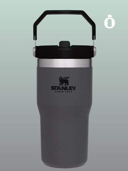 Stanley The Iceflow Flip Straw Tumbler | 20 Oz | Charcoal