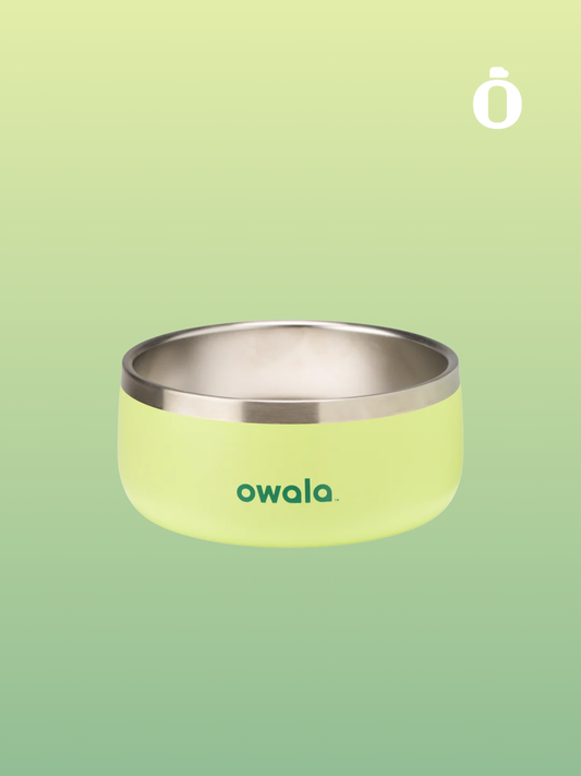 Owala Pet Bowl | 24 Oz | Sweet Treat