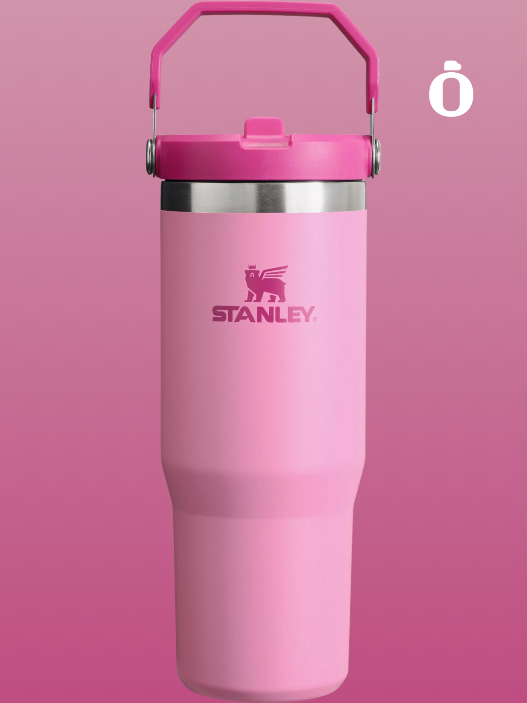 Stanley The Iceflow Flip Straw Tumbler | 30 Oz | Peony – Omi