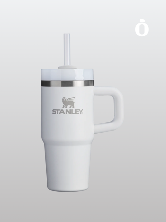 Stanley The Quencher H2.0 Flowstate Tumbler with Handle | 14 Oz | Frost