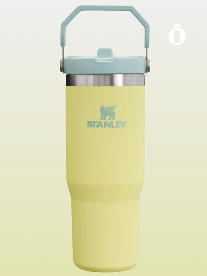 Stanley The Iceflow Flip Straw Tumbler | 30 Oz | Pomelo