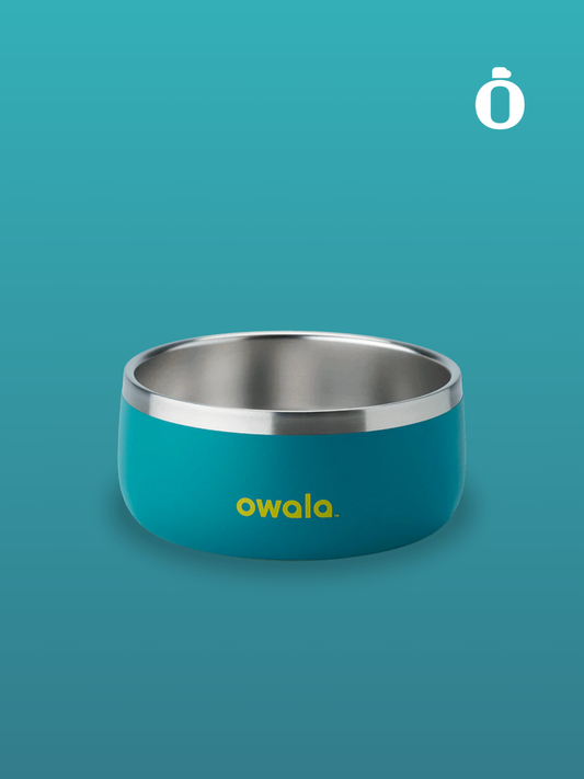 Owala Pet Bowl | 24 Oz | Turquoise and Caicos