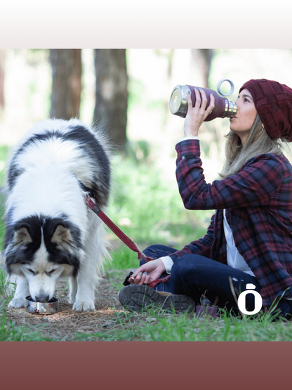 Asobu Dog Bowl Stainless Steel Insulated Travel Bottle | 33 OZ | Burgundy