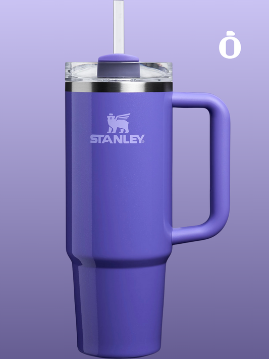 Stanley Winter Wonderland Collection Tumbler | 30 Oz | Dahlia Shimmer