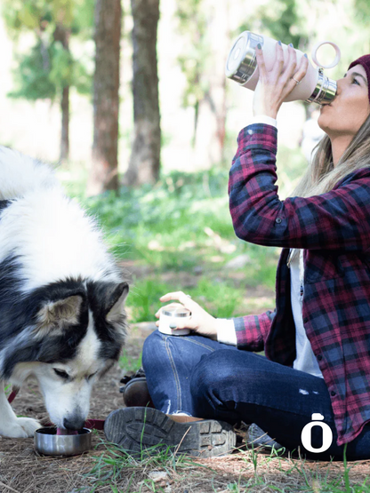 Asobu Dog Bowl Stainless Steel Insulated Travel Bottle | 33 OZ | Pink