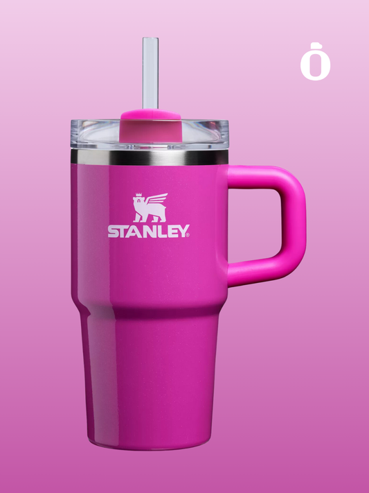 Stanley Winter Wonderland Collection Tumbler with Handle | 20 Oz | Punch Shimmer