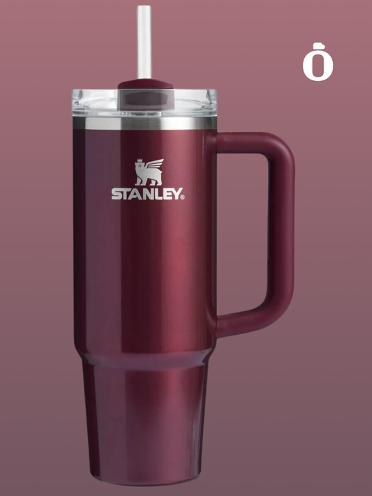 *Limited Edition Stanley X e.l.f. Tumbler | 30 Oz | Jam Session