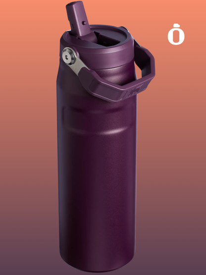 Stanley The Iceflow Flip Straw 2.0 | 24 Oz | Plum