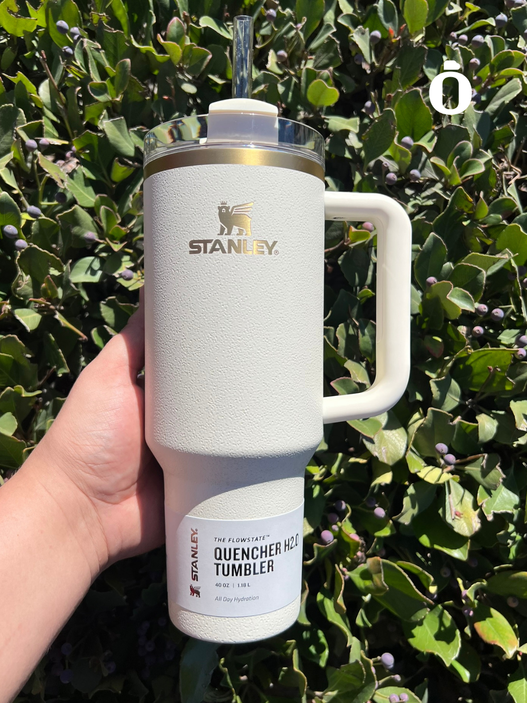 Stanley The Holiday Quencher H2.0 Flowstate Tumbler | 40 Oz | Gilded Sugar