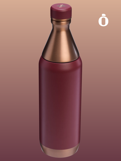 Stanley The Holiday All Day Slim Bottle | 20 OZ | Gilded Pomegranate