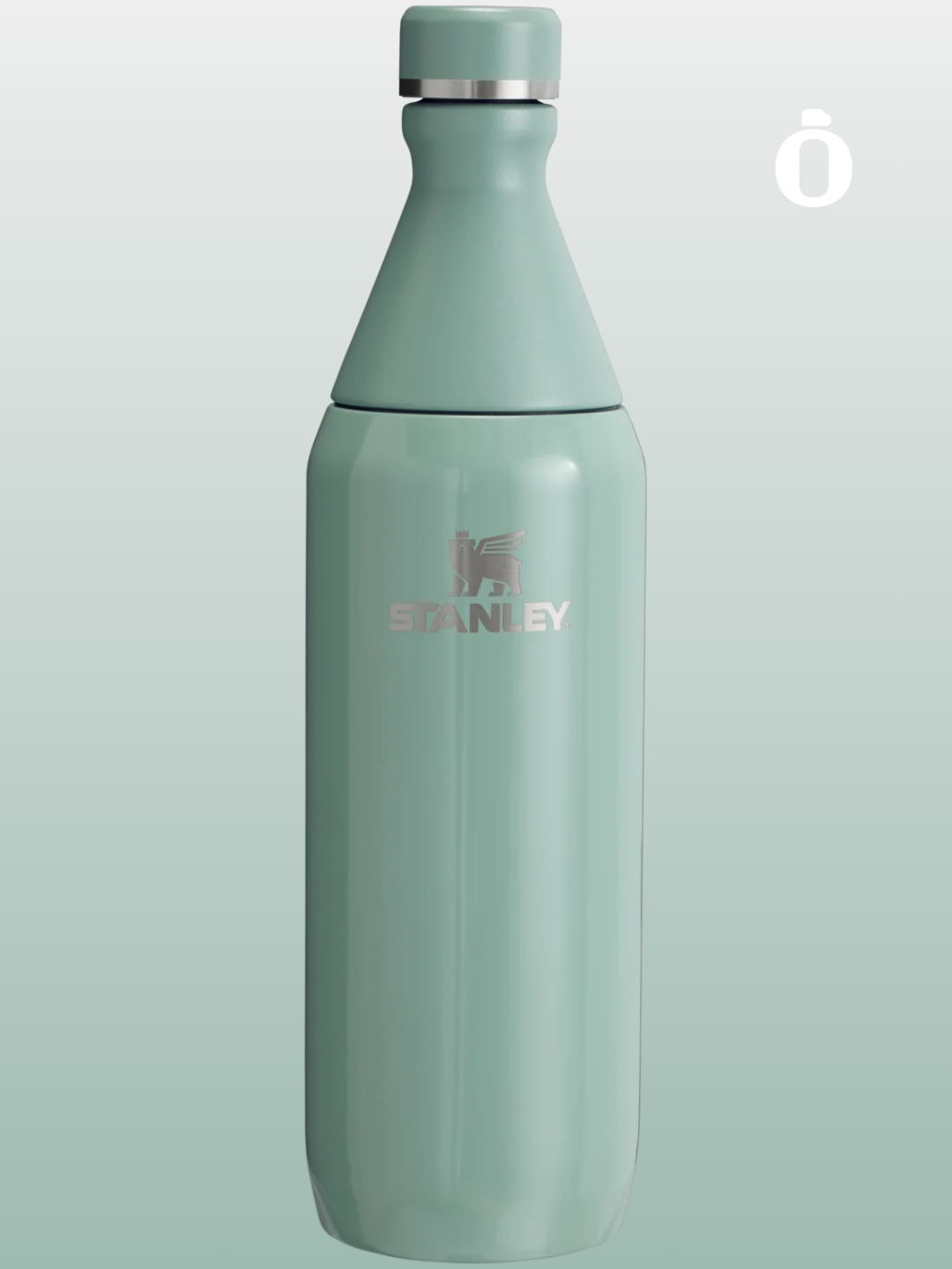 Stanley All Day Slim Bottle | 20 OZ | Shale Gross