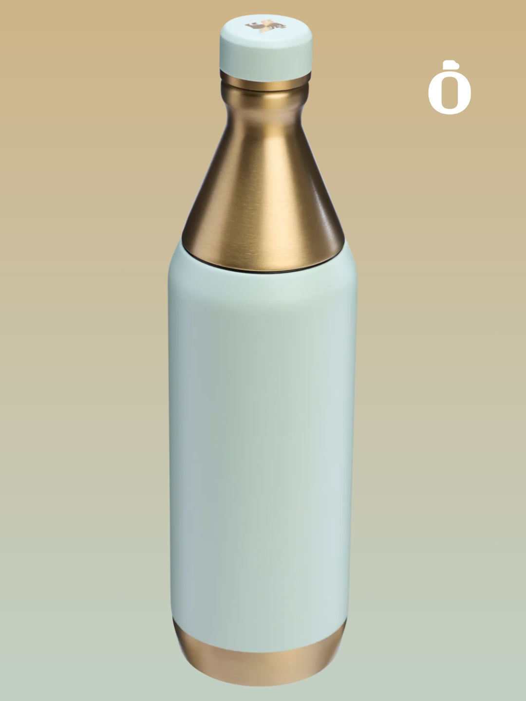 Stanley The Holiday All Day Slim Bottle | 20 OZ | Gilded Celadon