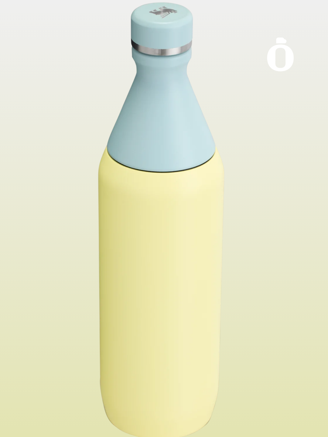 Stanley All Day Slim Bottle | 20 OZ | Pomelo