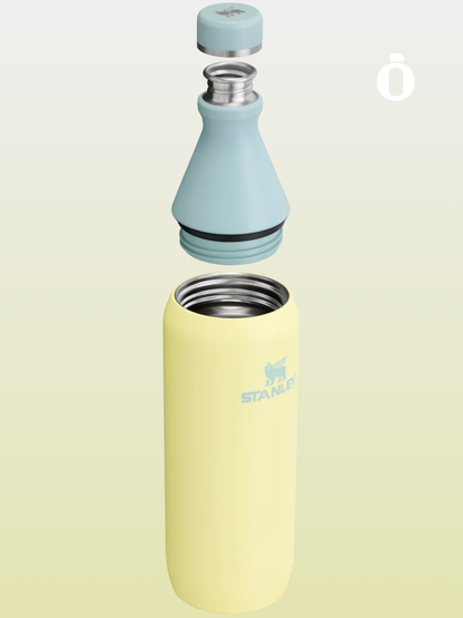 Stanley All Day Slim Bottle | 20 OZ | Pomelo