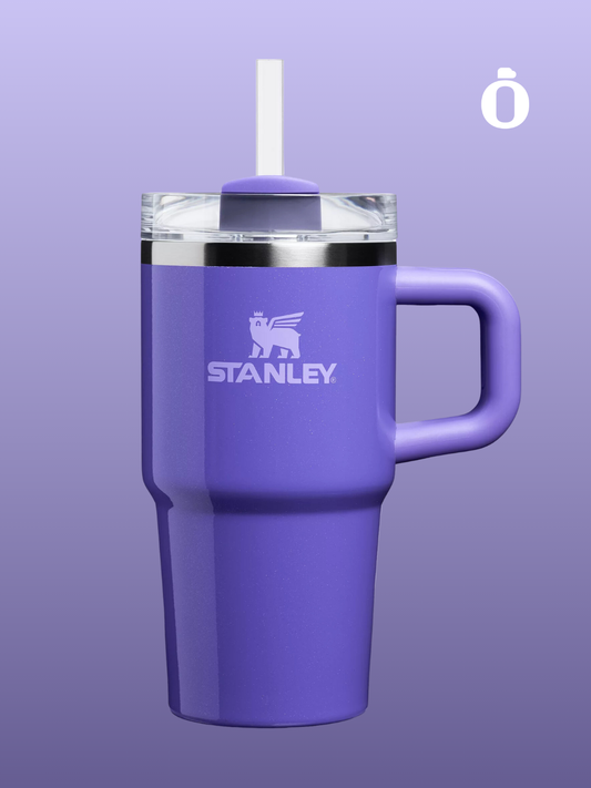 Stanley Winter Wonderland Collection Tumbler with Handle | 20 Oz | Dahlia Shimmer