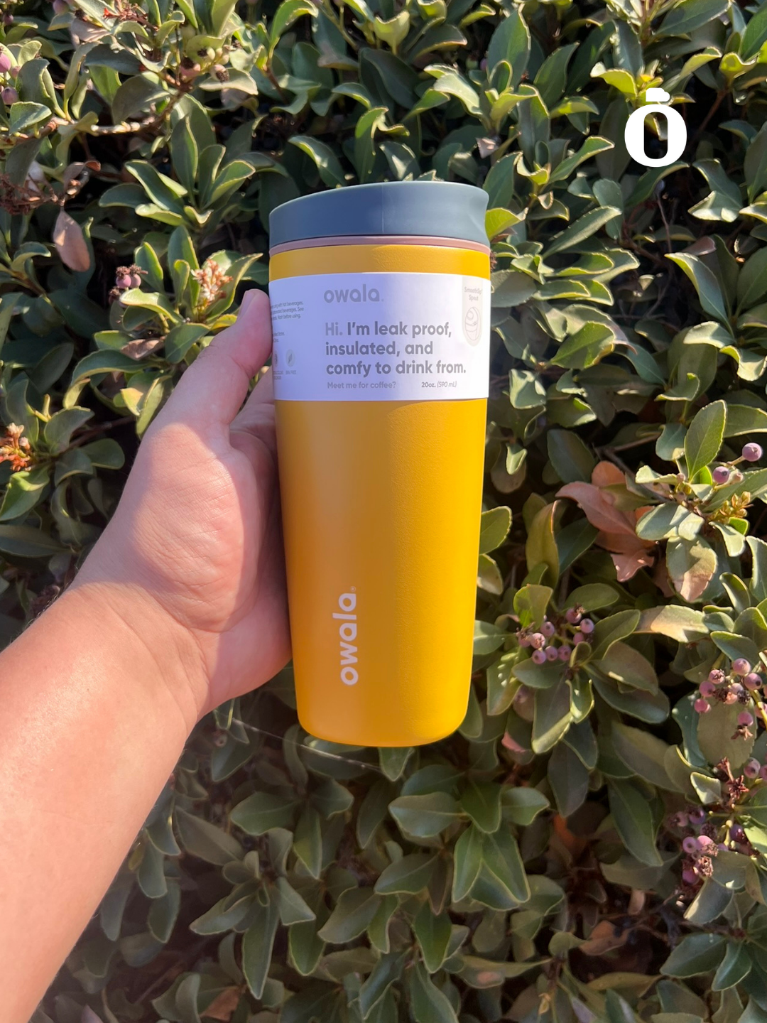 Owala SmoothSip Slider | 20 Oz | Golden Quest