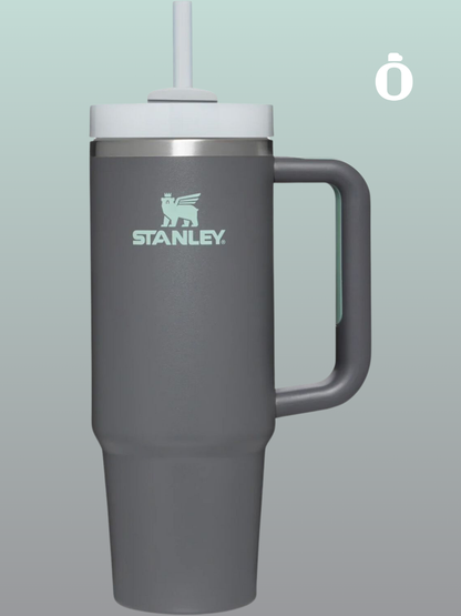 Stanley The Quencher H2.0 Flowstate Tumbler | 30 Oz | Charcoal